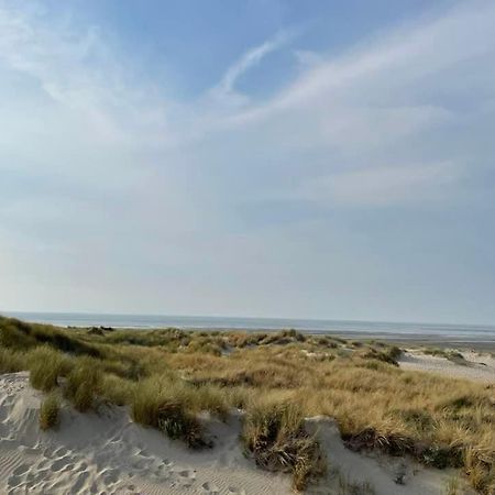 Le Saint Amand, Studio Cabine, Agreable Terrasse Sud Le Touquet Eksteriør billede
