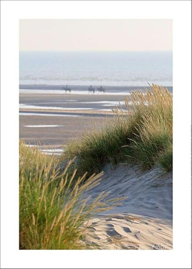 Le Saint Amand, Studio Cabine, Agreable Terrasse Sud Le Touquet Eksteriør billede